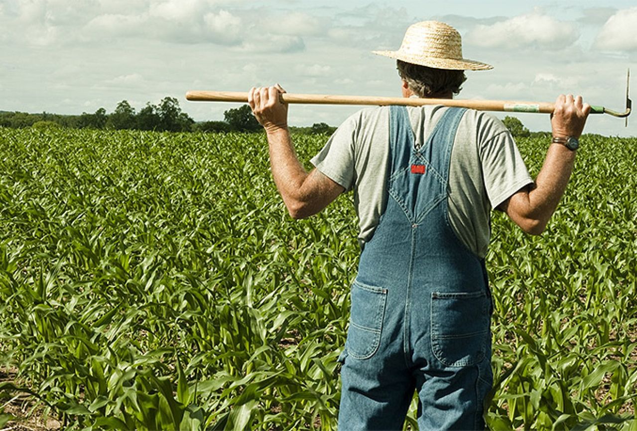 Poljoprivrednici, oprez: Stigao novi softver za poticaje