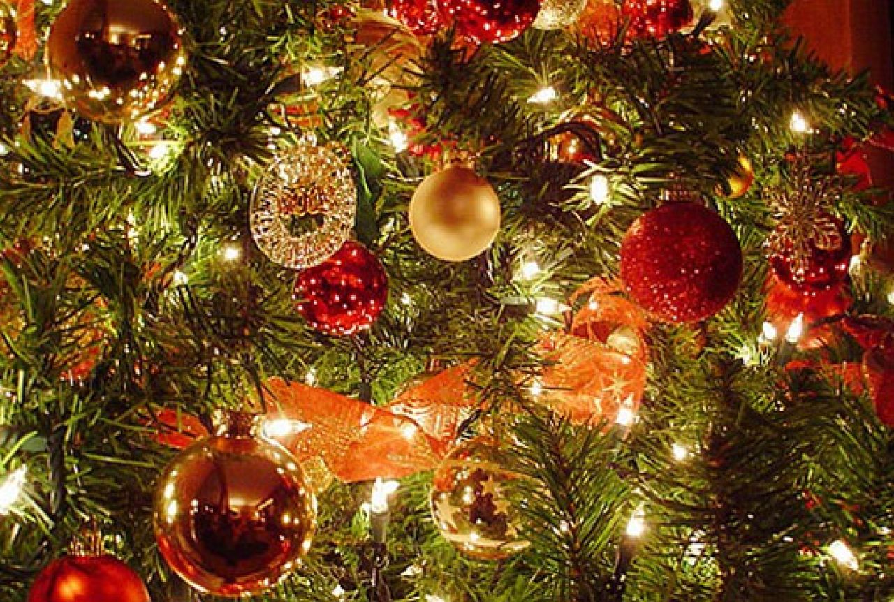 Sve što trebate znati o božićnom drvcu na jednom mjestu