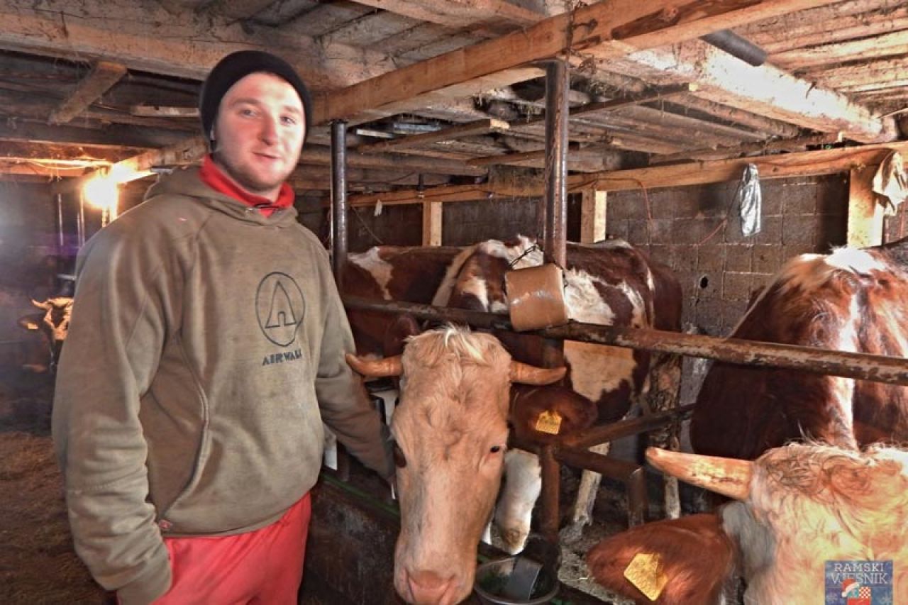 Priča o farmeru Josipu iz BiH: U Njemačku bih otišao samo kada bih bio kruha gladan