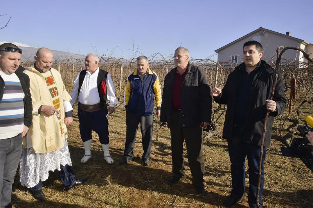 Vincekovo na Buni: Održan obred rezidbe lozova trsa