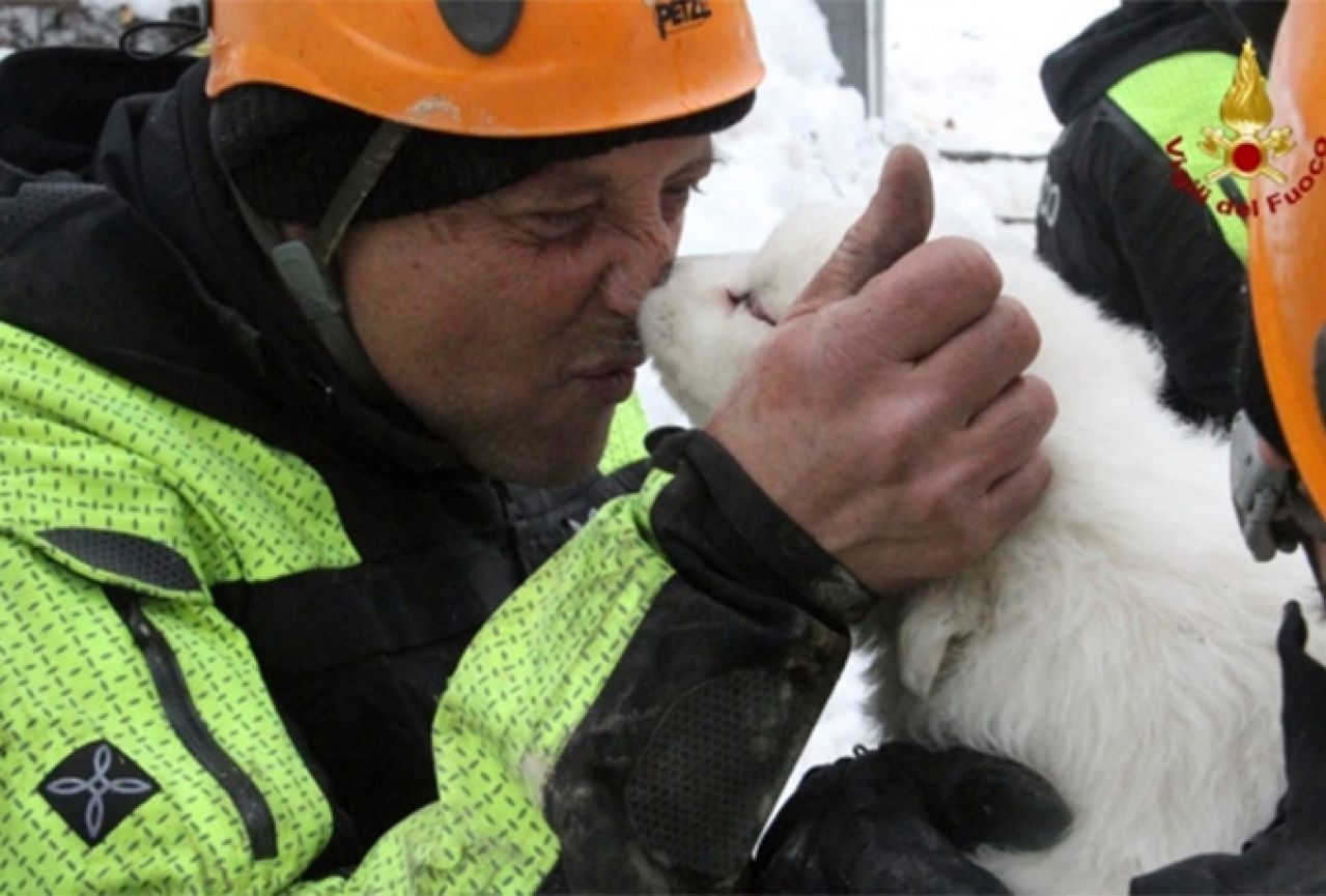 Spasioci još traže preživjele u lavini, pronađena tri živa šteneta