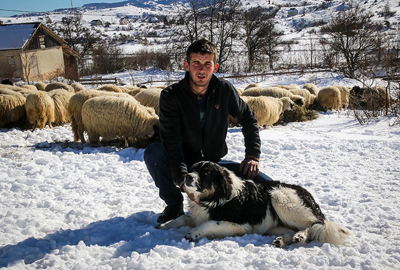 Franjo Jakovljević: Uzgojem ovaca osigurava egzistenciju i ne planira napustiti ramski kraj