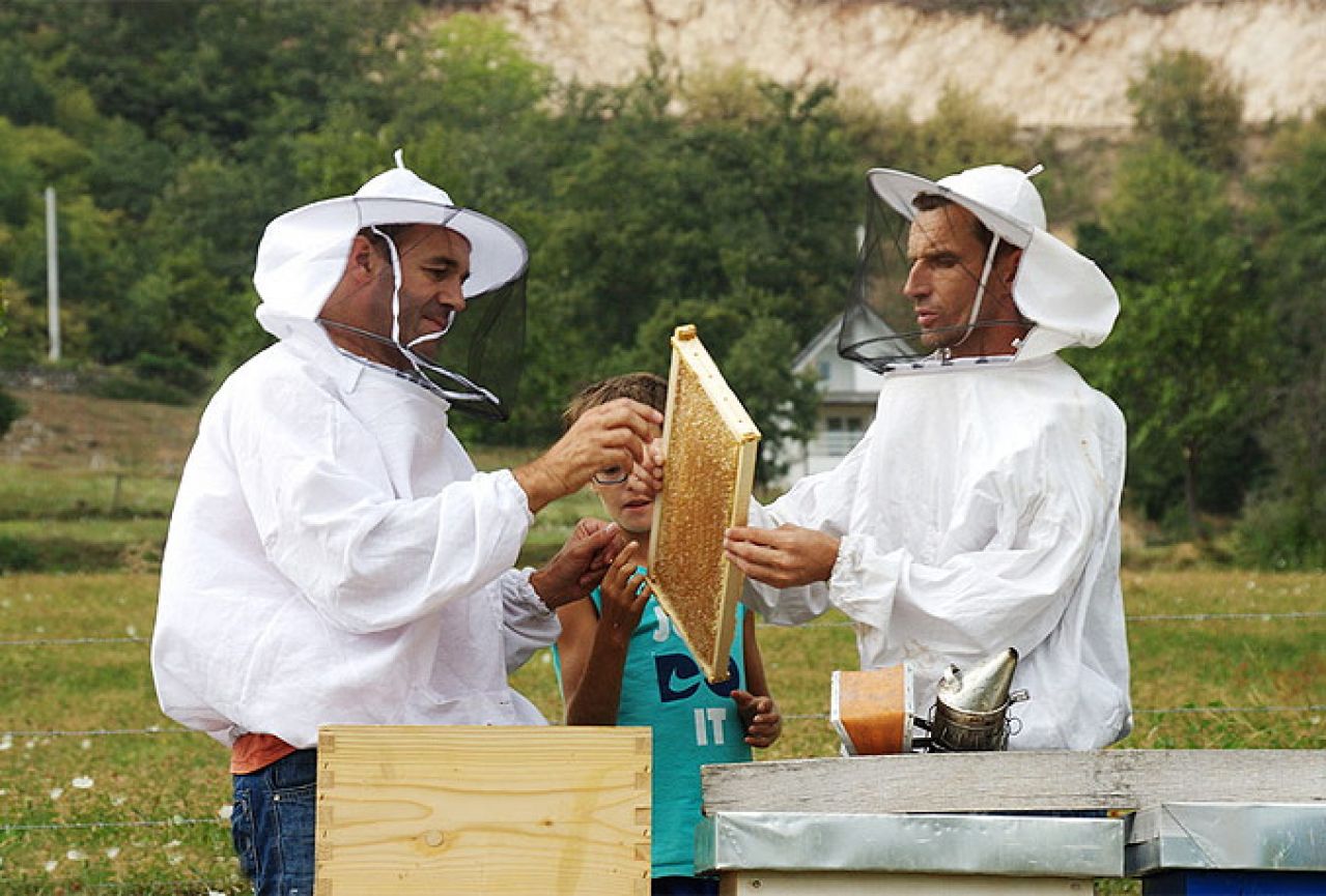 Hercegovački pčelari: ''Čekamo proljeće kao ozebao sunce''