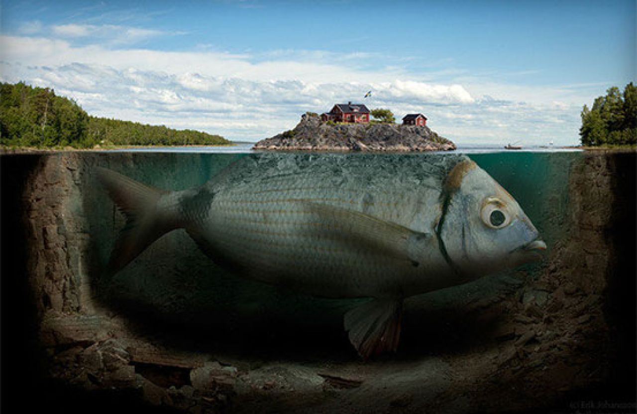 Pogledajte kako izgledaju fotografije na kojima se spoji nespojivo