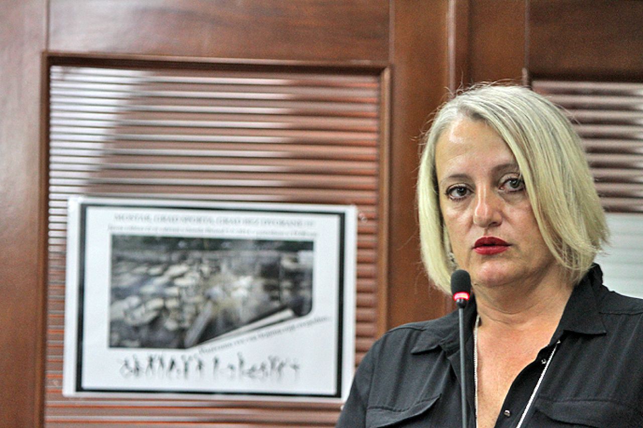 Zelenika: Ne mogu prihvatiti šutnju hrvatskih političara iz BiH