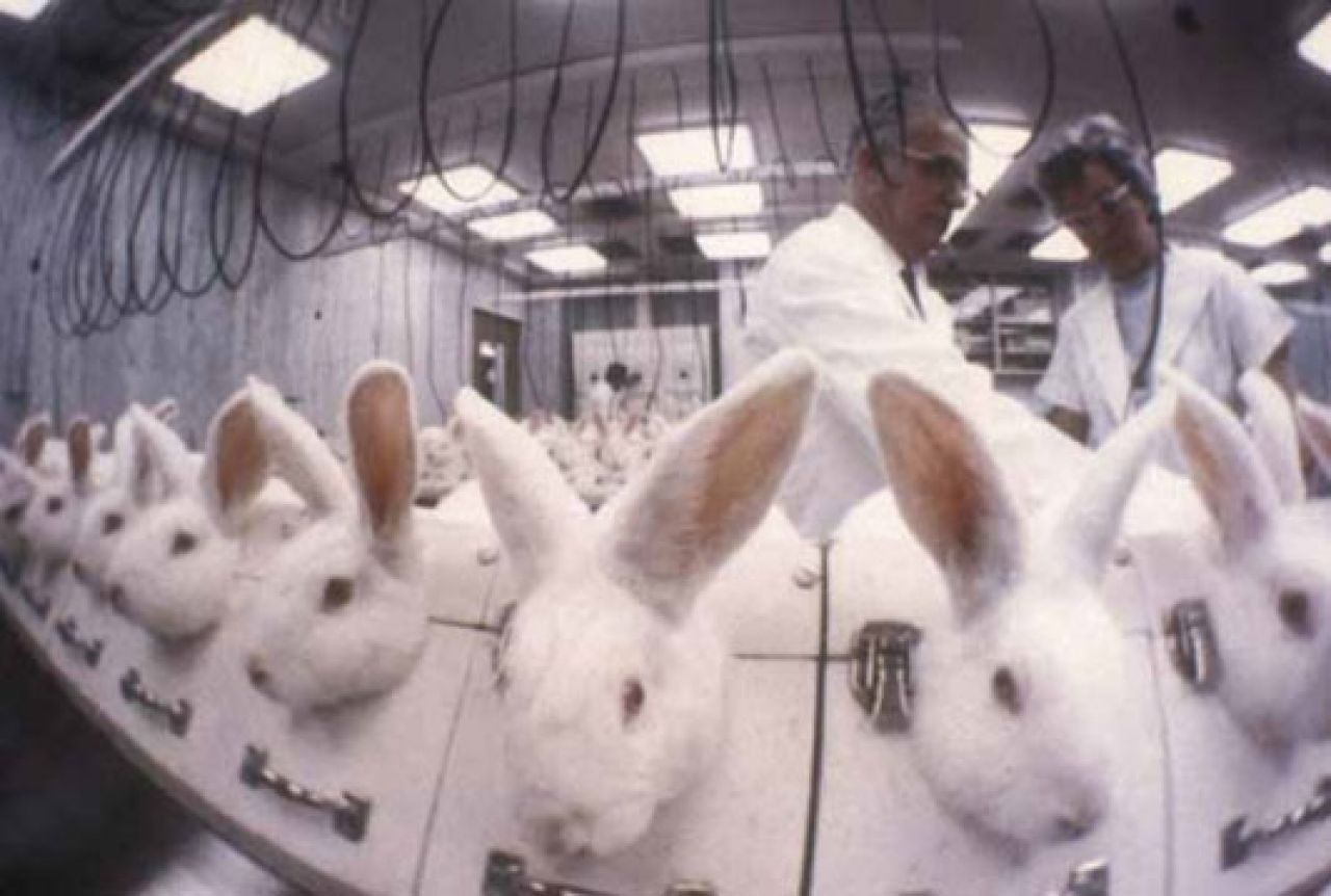 EU zabranila prodaju kozmetičkih proizvoda testiranih na životinjama