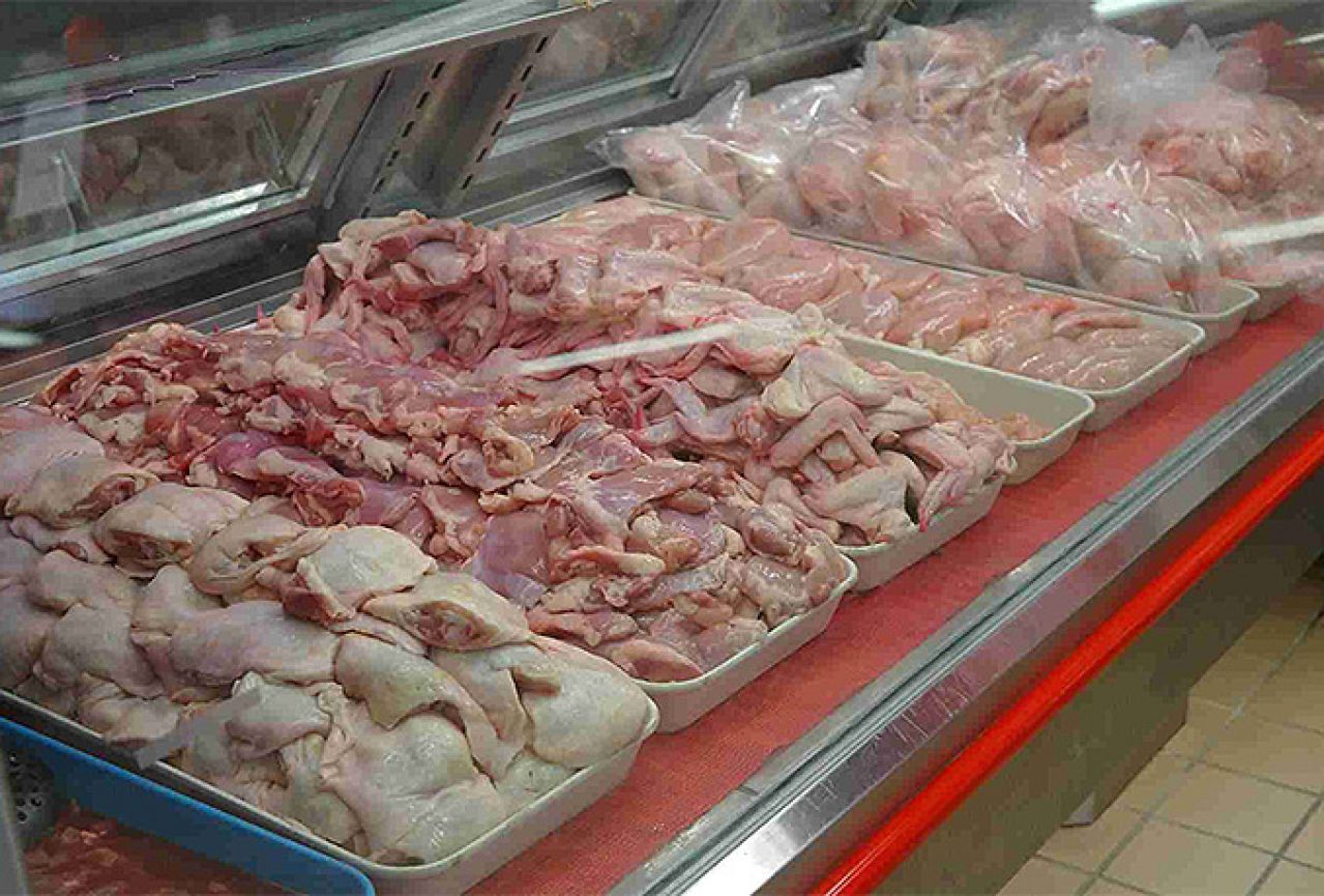 BiH na korak do izvoza piletine: Izvoz koče i sanitarni uvjeti