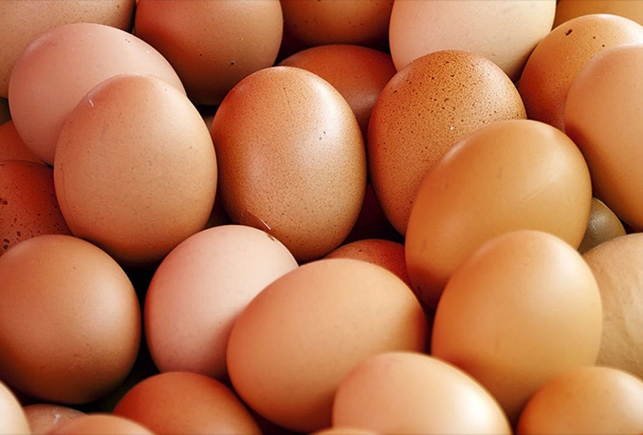 Na bh. tržištu nema jaja s antibioticima
