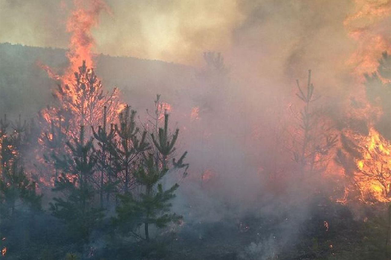 Tomislavgrad: Vatrogasci spriječili širenje velikog požara u Kologaju