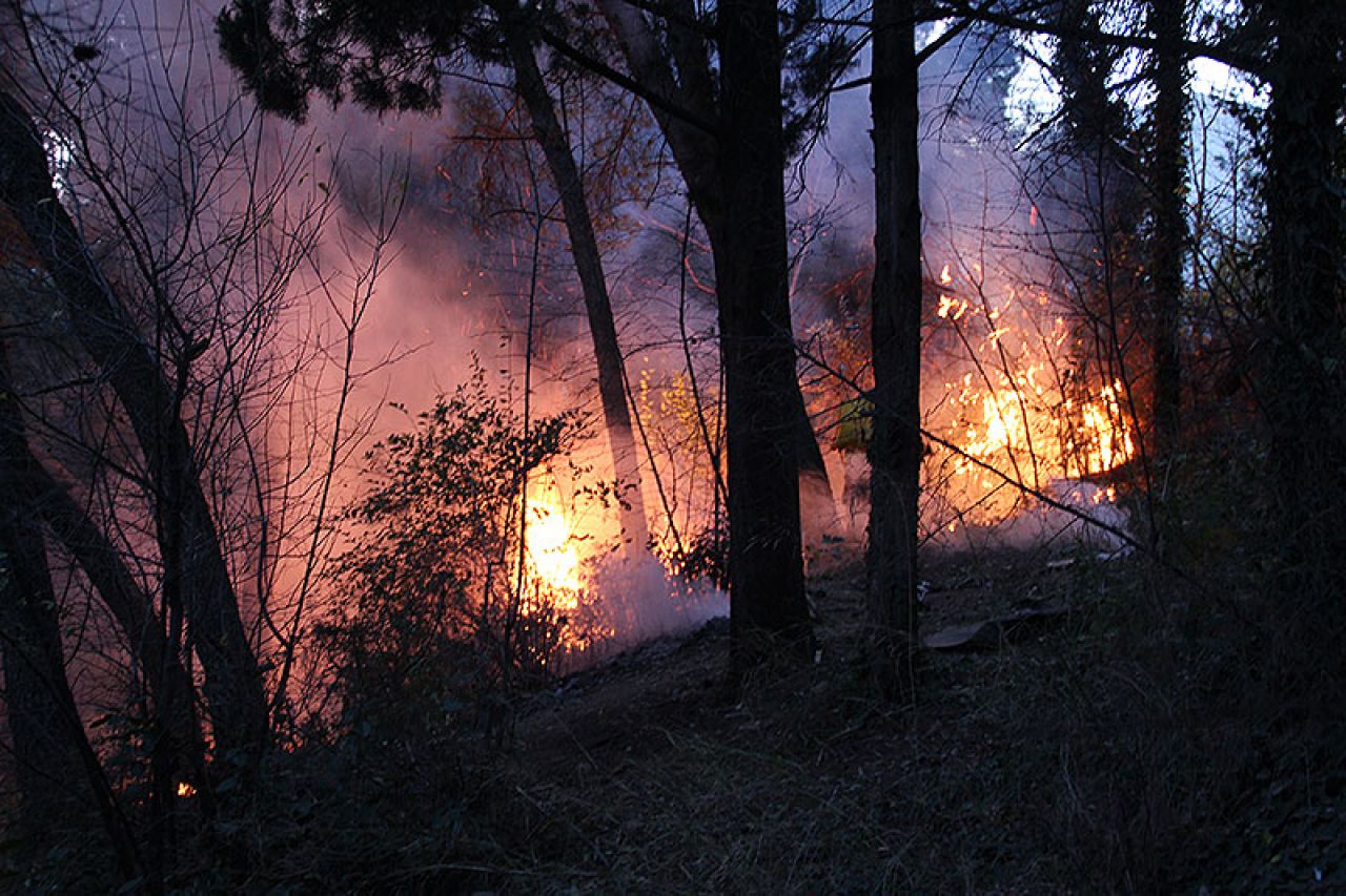 Upućen apel - sve je više šumskih požara u BiH