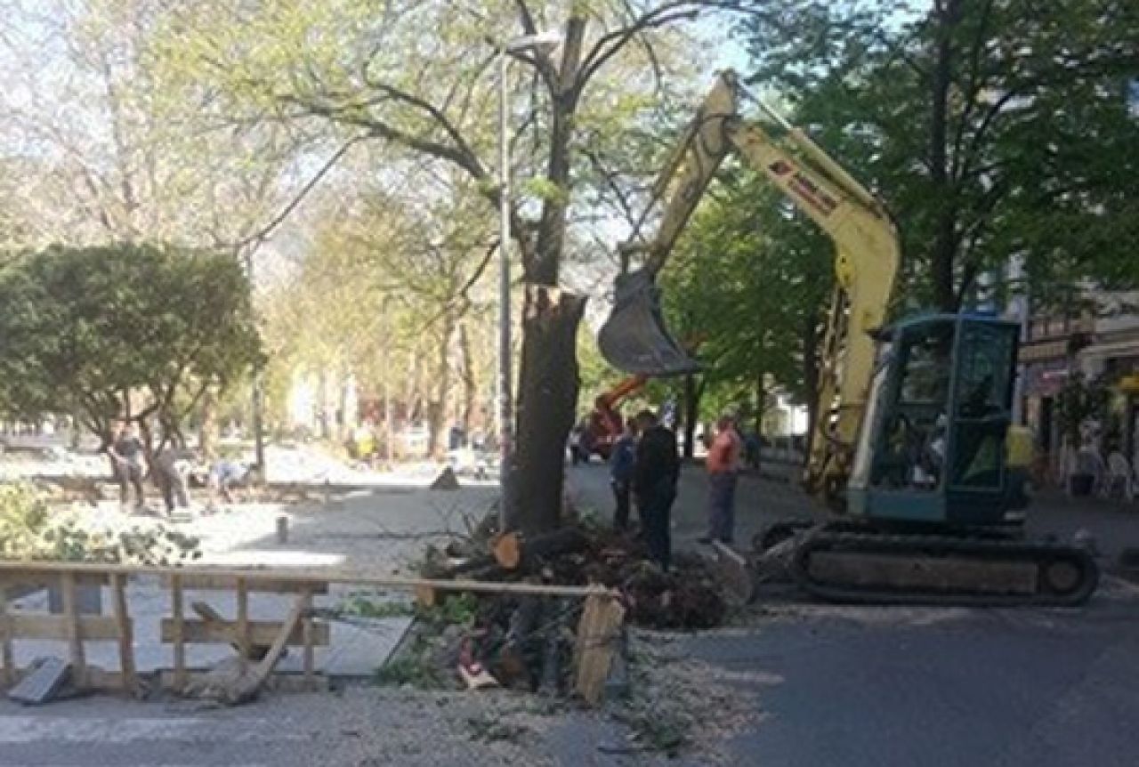 Radovi kod Kosače: Uklonjena stabla i započeli radovi na pješačkoj stazi