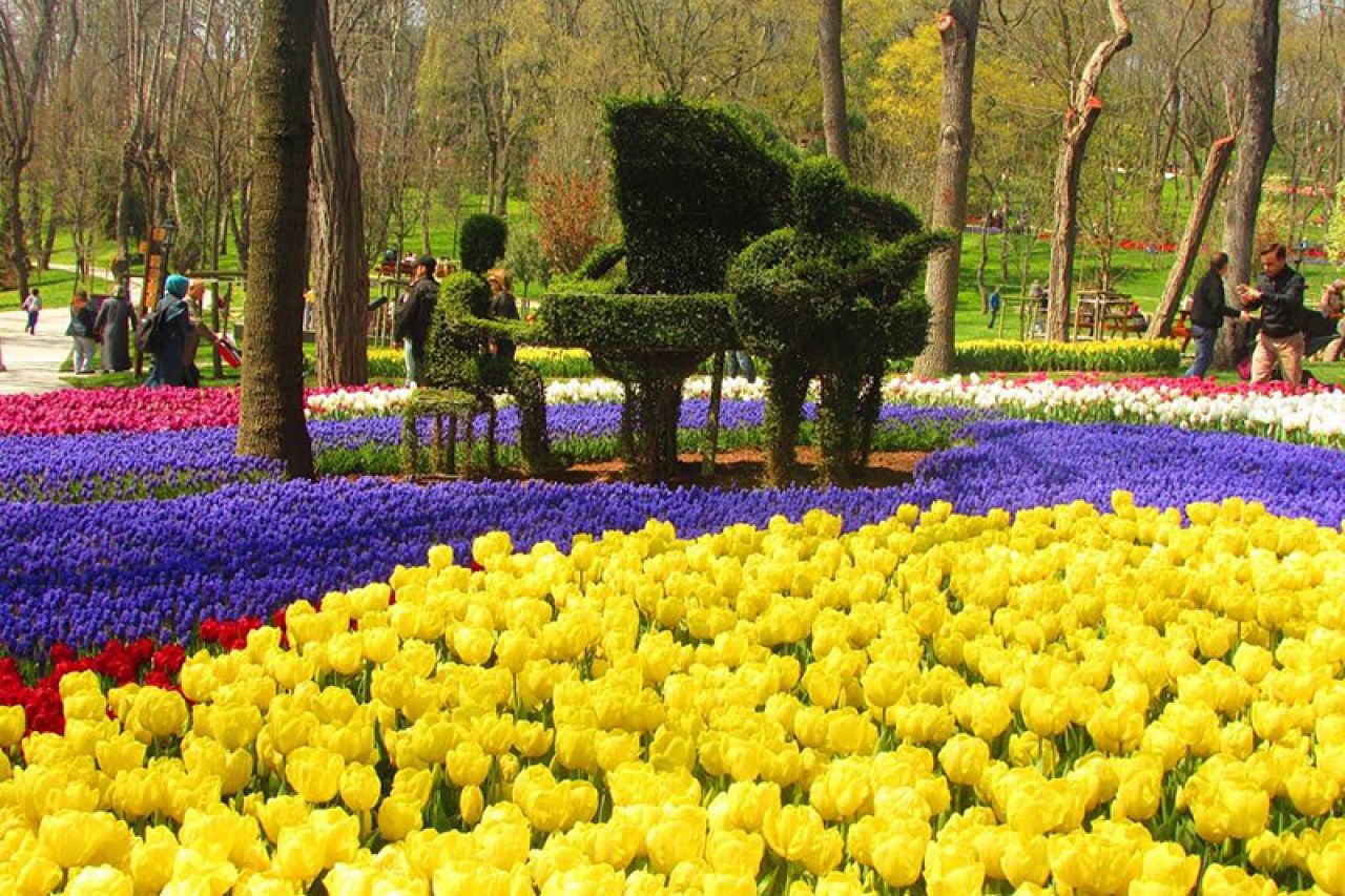 Šarolikost na ulicama: Festival tulipana ostavlja bez daha