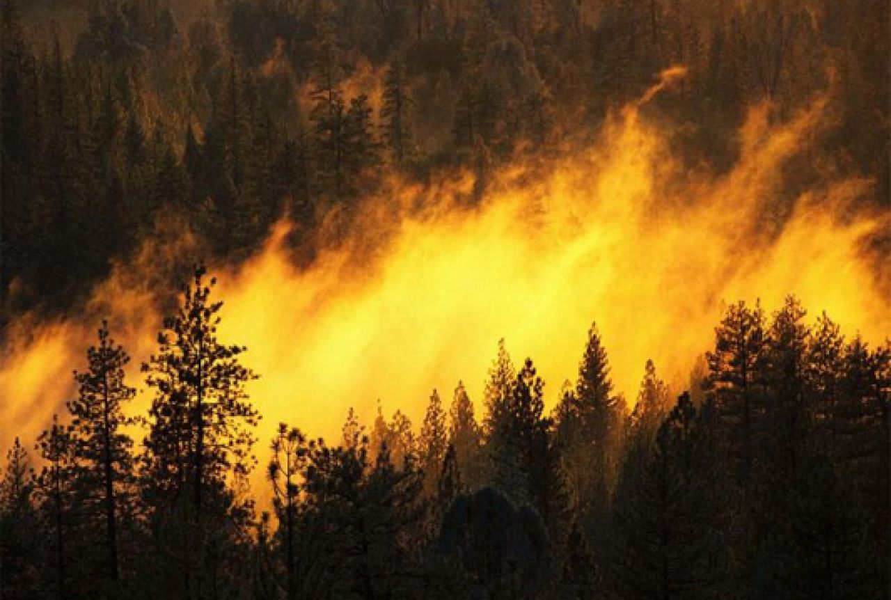 U mjestu Bukovica gori šuma, gašenje otežano zbog miniranog područja