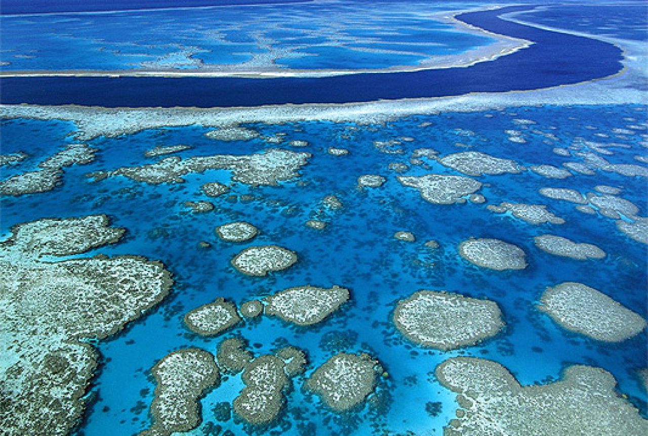 Stradale dvije trećine australskog Velikog koraljnog grebena