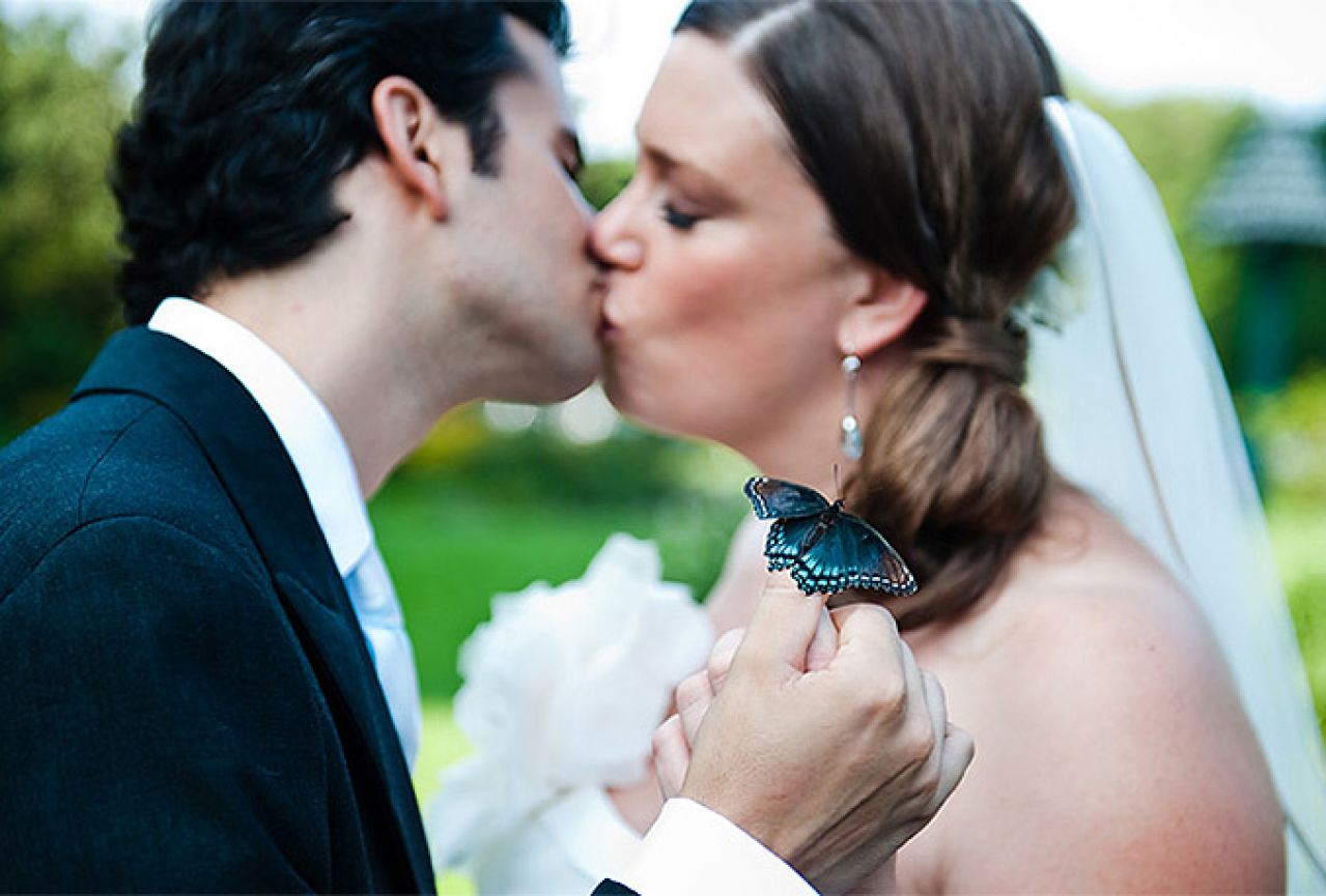 Živi leptiri su pravi 'must have' na vjenčanjima
