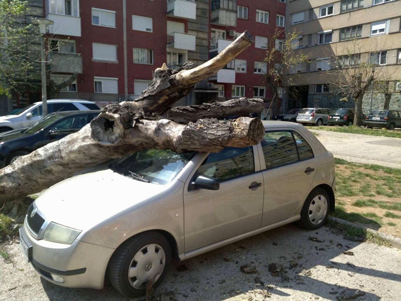Stablo palo na automobil u Mostaru