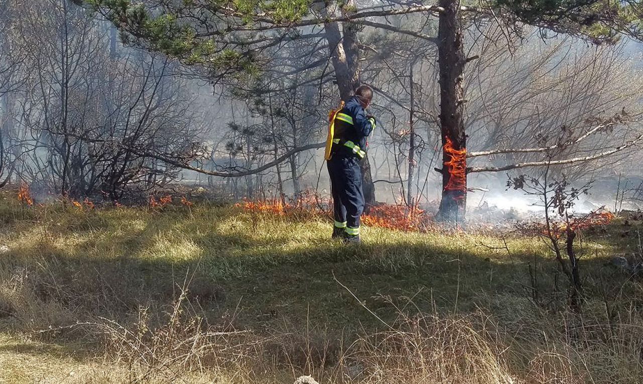 Zapalili šumu na više mjesta, vatrogasci intervenirali