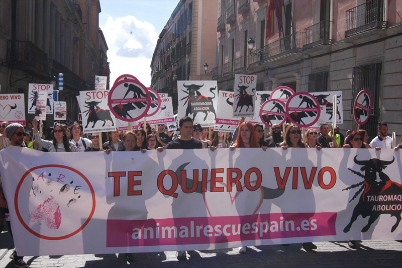 Prosvjed u Madridu: Većina Španjolaca protivi se borbama bikova