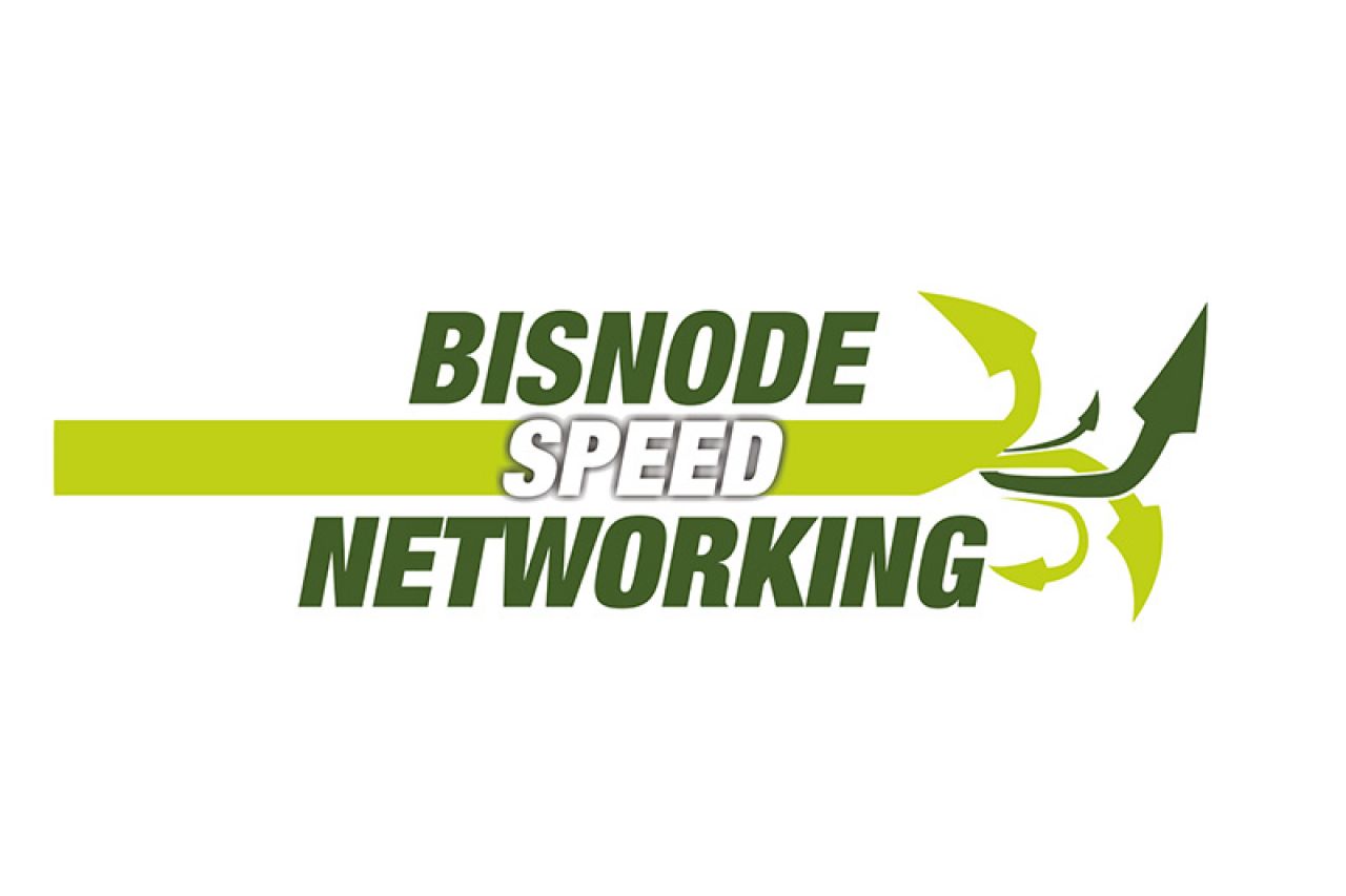 Bisnode Speed Networking