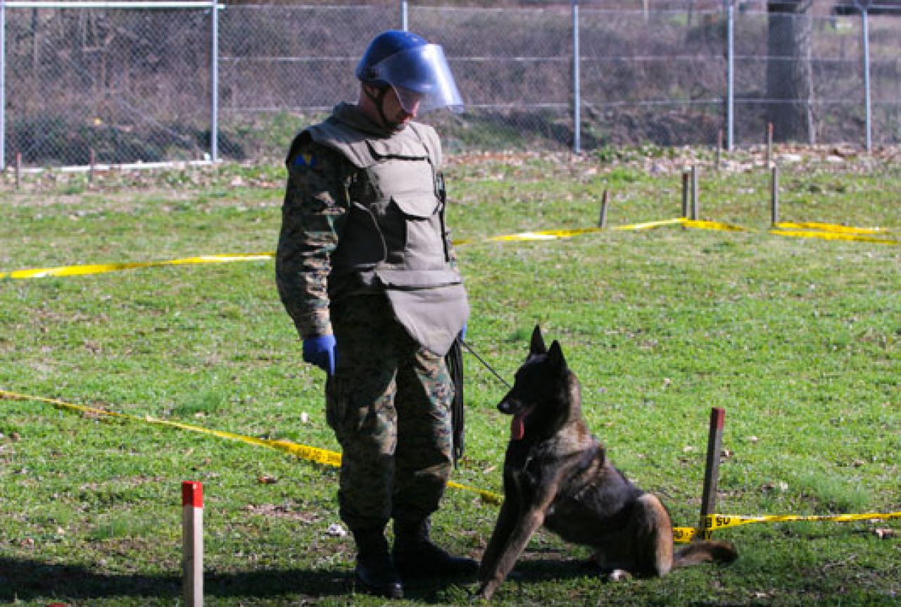 Dva psa obučena za otkrivanje mina donirana Deminerskom bataljonu