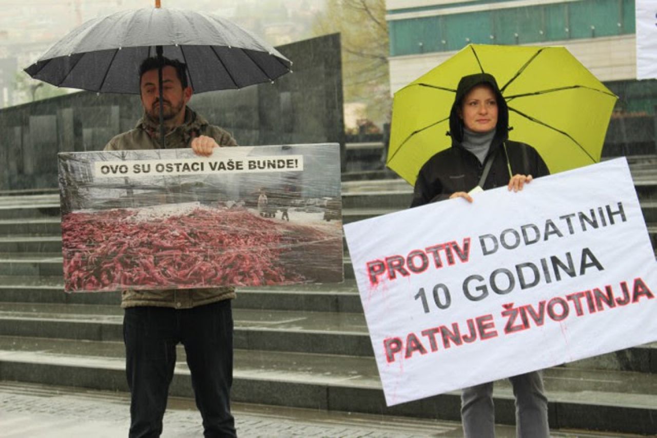 Prosvjed pred Parlamentom BiH zbog Zakona o zaštiti i dobrobiti životinja