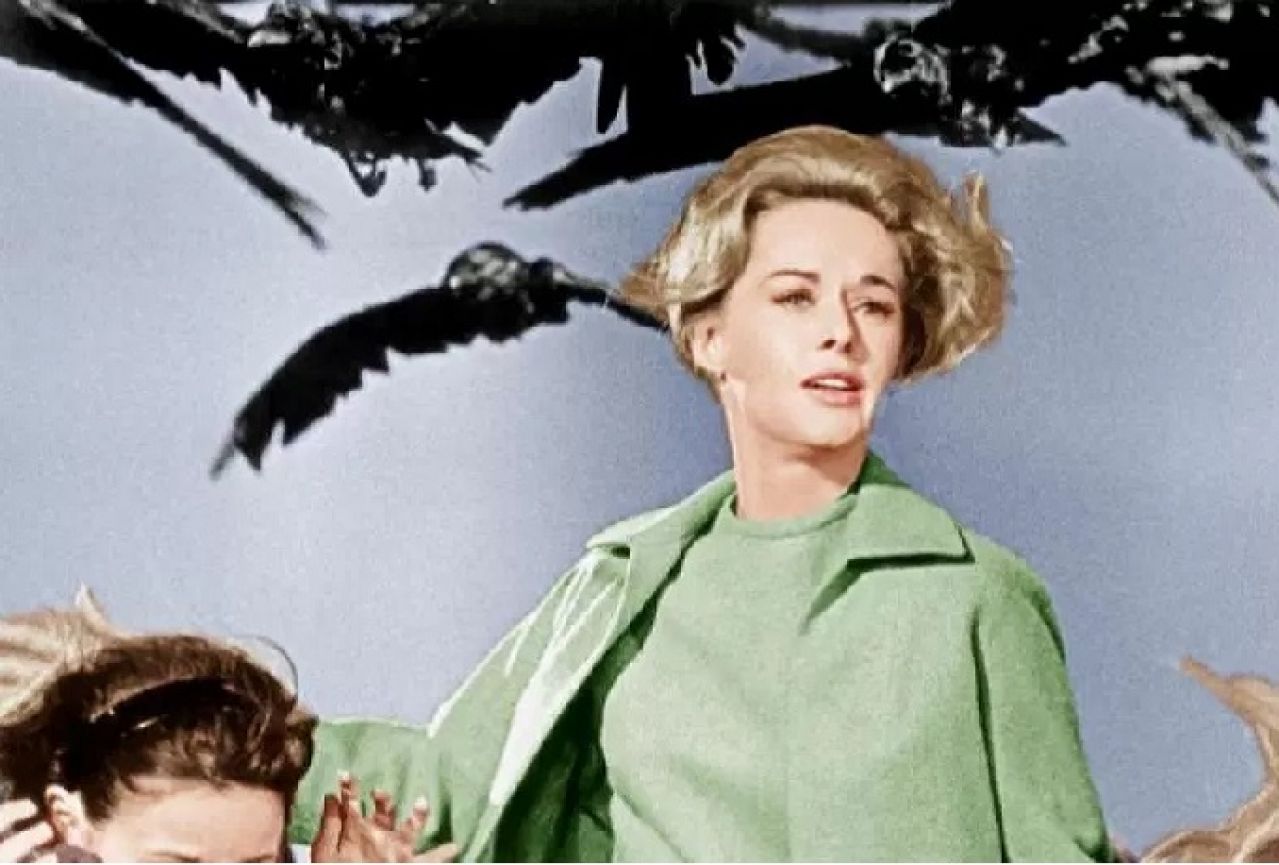 Nije do Hitchcocka: Vrane u Austriji napadaju ljude!