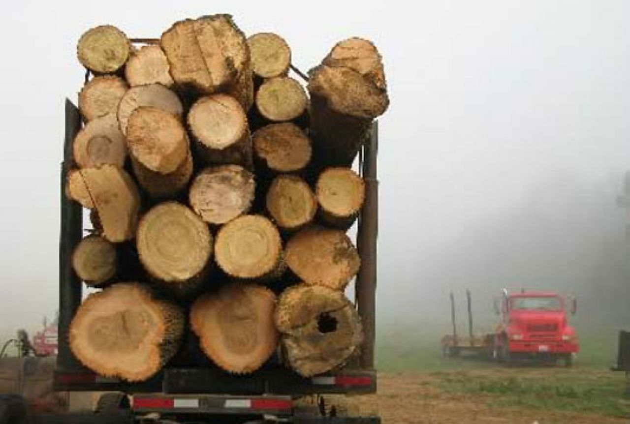Kako spasiti drvnu industriju