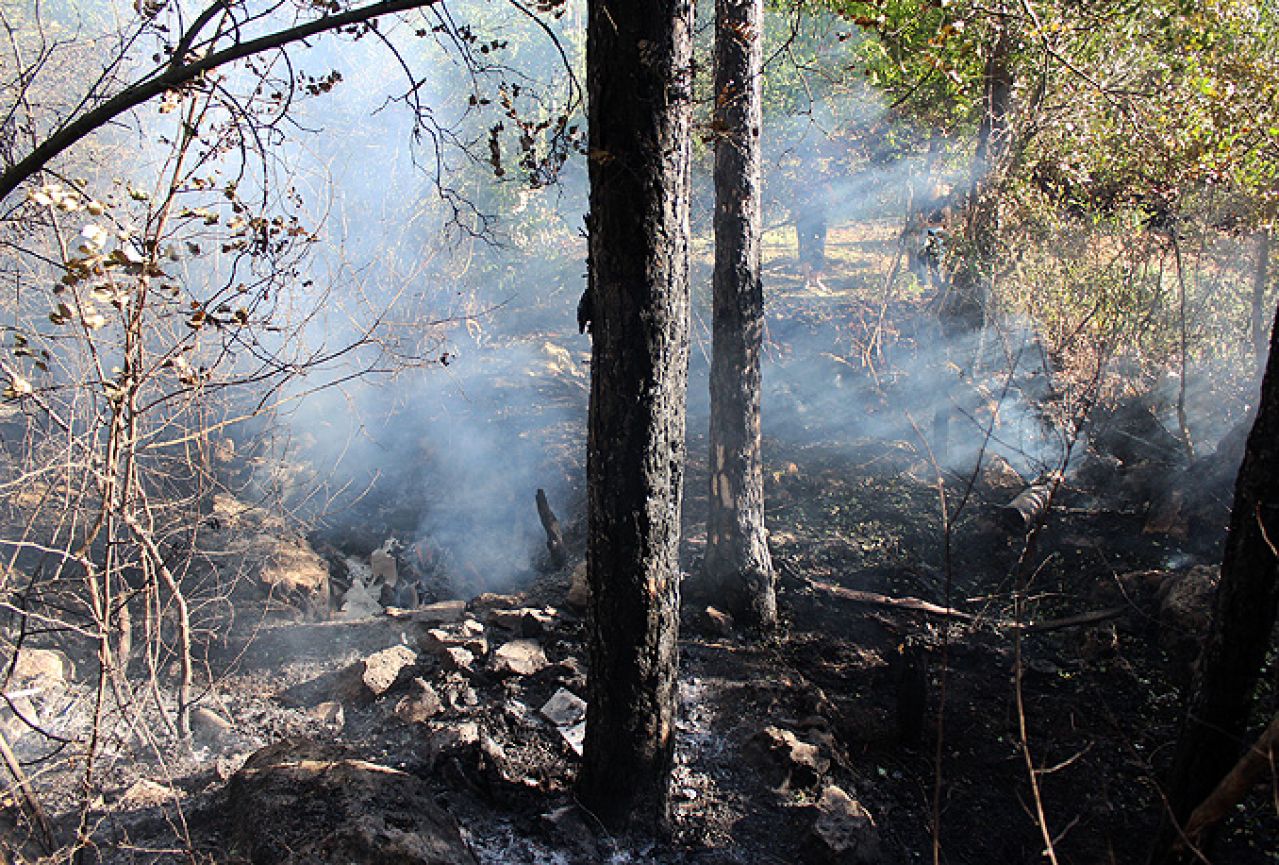 Požar na Čvrsnici zahvatio borovu šumu