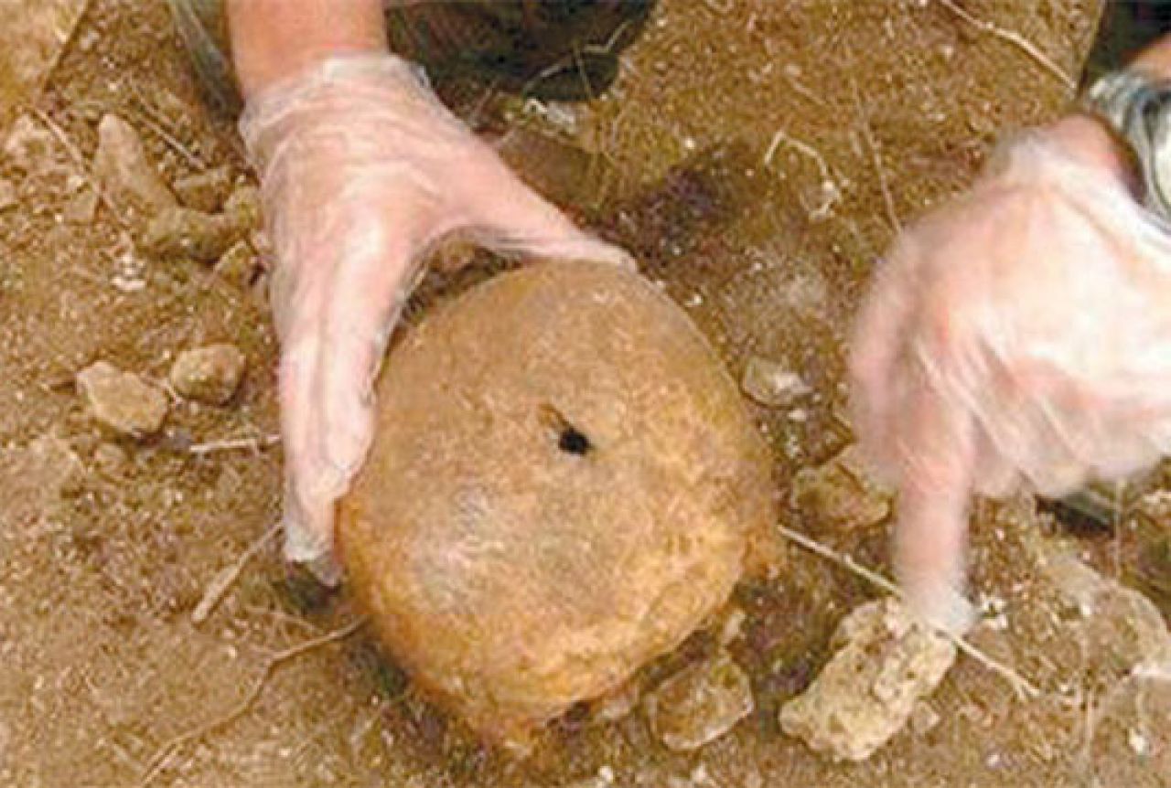 Završena ekshumacija na području općine Foča