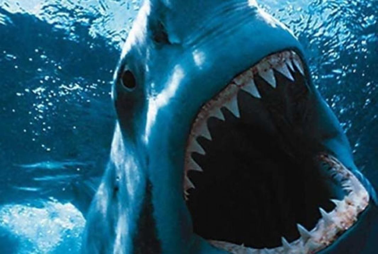 Novo otkriće - kako morski psi gutaju hranu