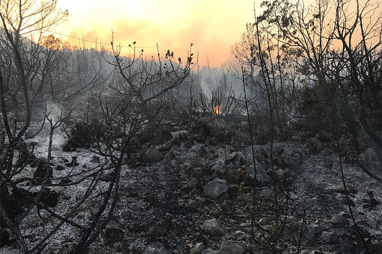 Ugašen požar na Brkanovom brdu