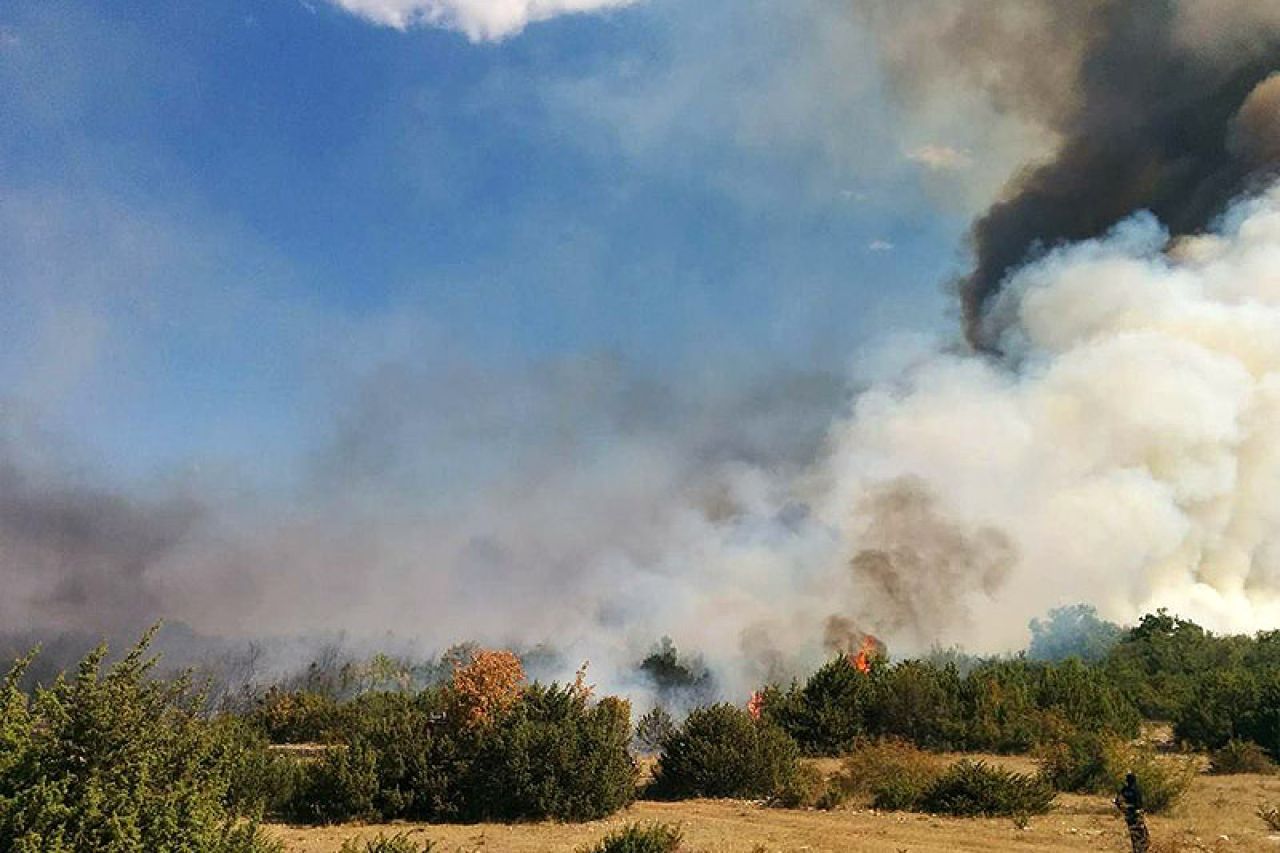 Gotovo 300 vatrogasaca se bori sa požarom kod Šibenika 