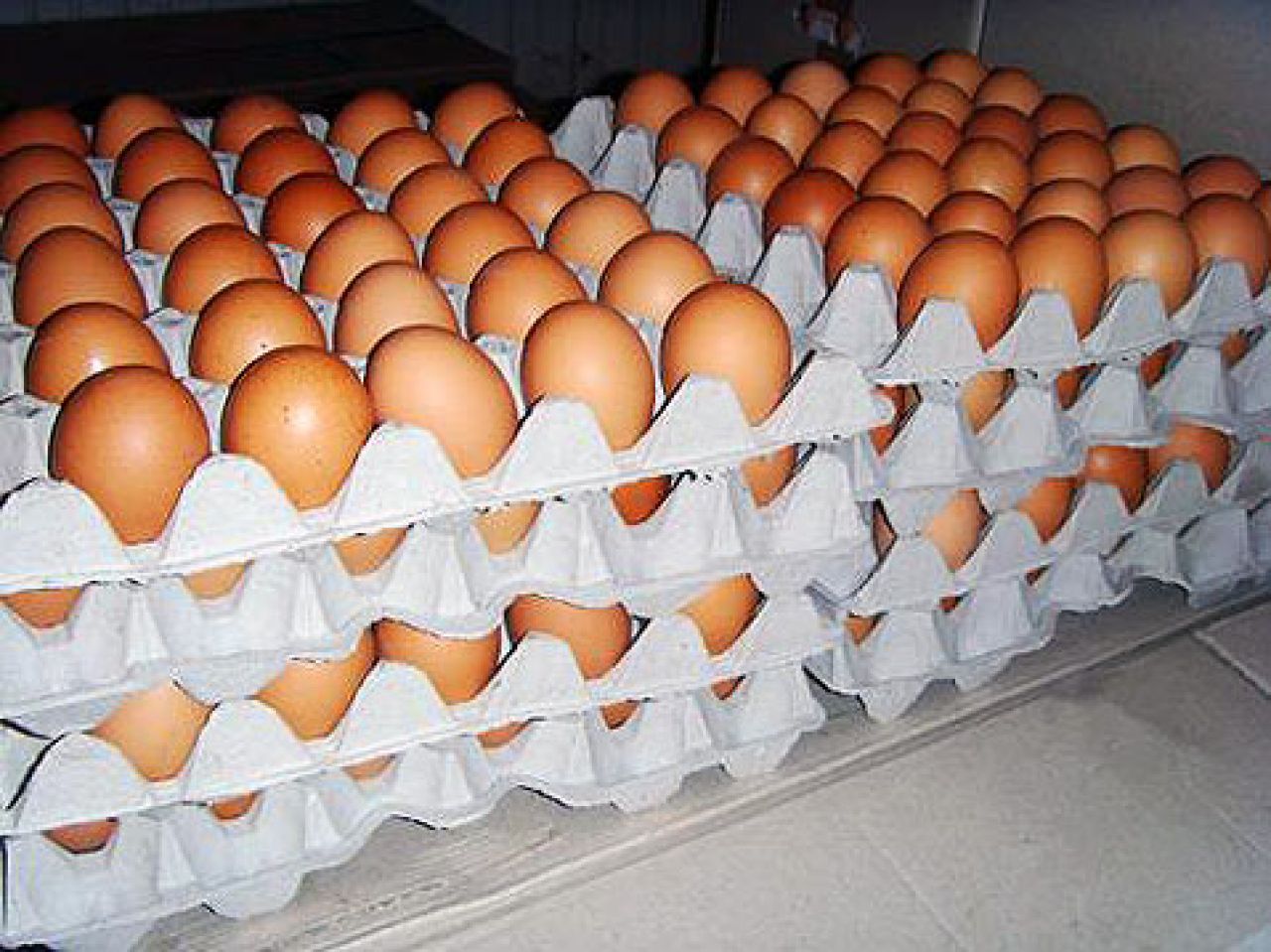 Slovenija povukla jaja iz Njemačke i Austrije zbog afere s fipronilom