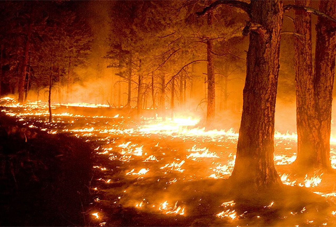 Na Jadovniku izgorjelo pet hektara šume i niskog raslinja