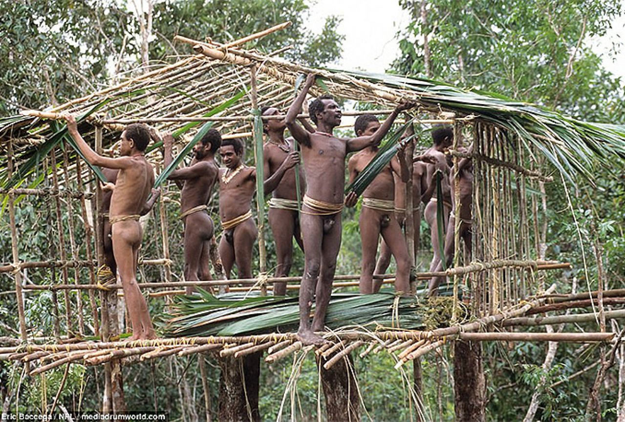 Žive u krošnjama: Tajno pleme kanibala za koje nitko nije znao  