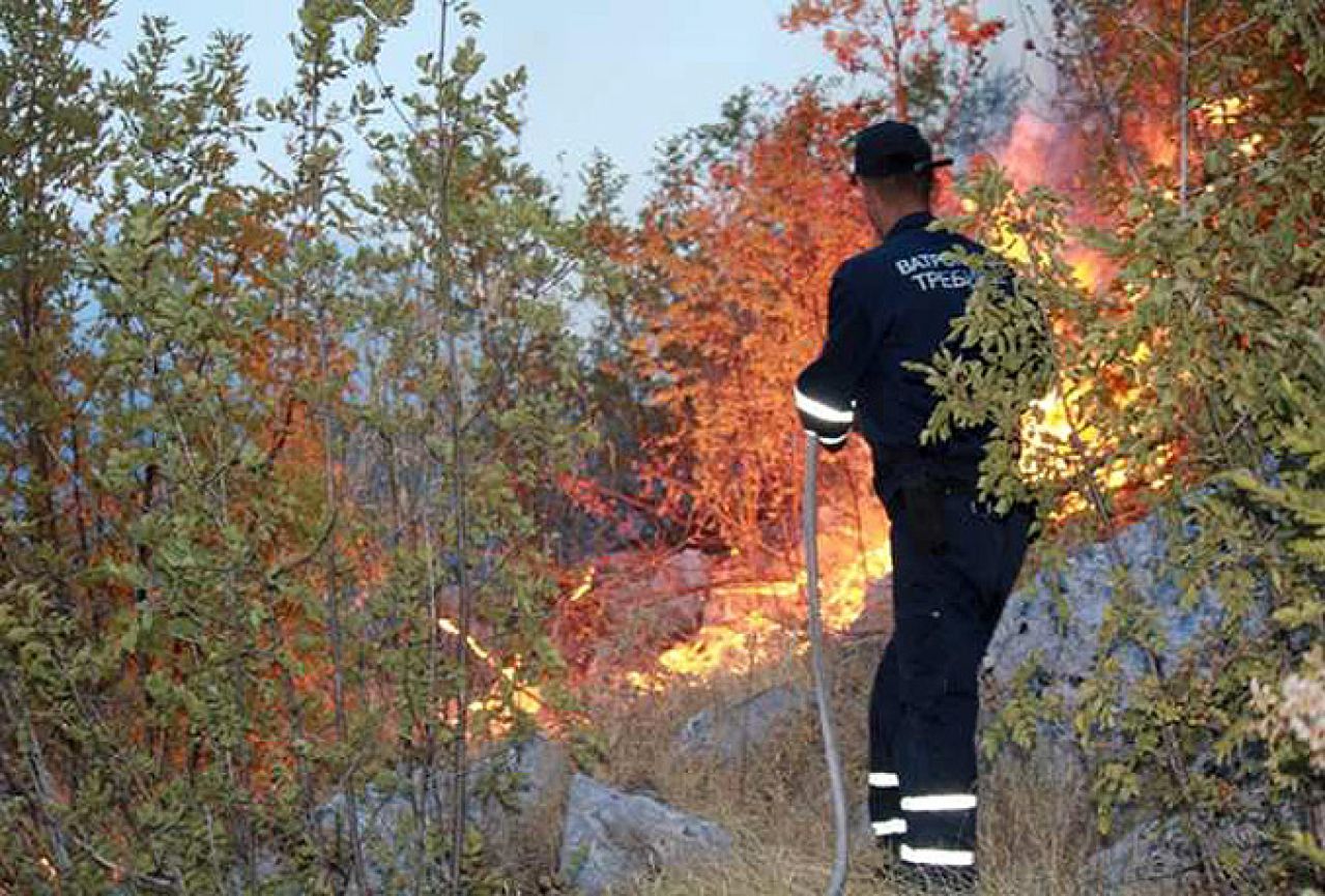 Vatrogasci gase požar na Trebinjskim brdima