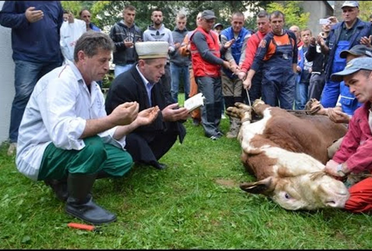 Erdogan donirao 200 grla goveda za klanje kurbana u Širokom Brijegu