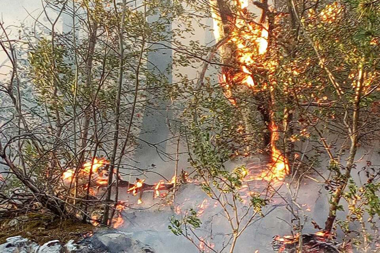 Helikopter usporio širenje vatre, ali i dalje gori na Ruištu