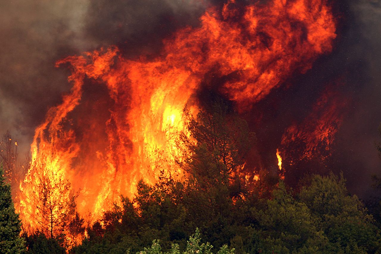 Evakuacije zbog ''najvećeg požara u povijesti'' Los Angelesa