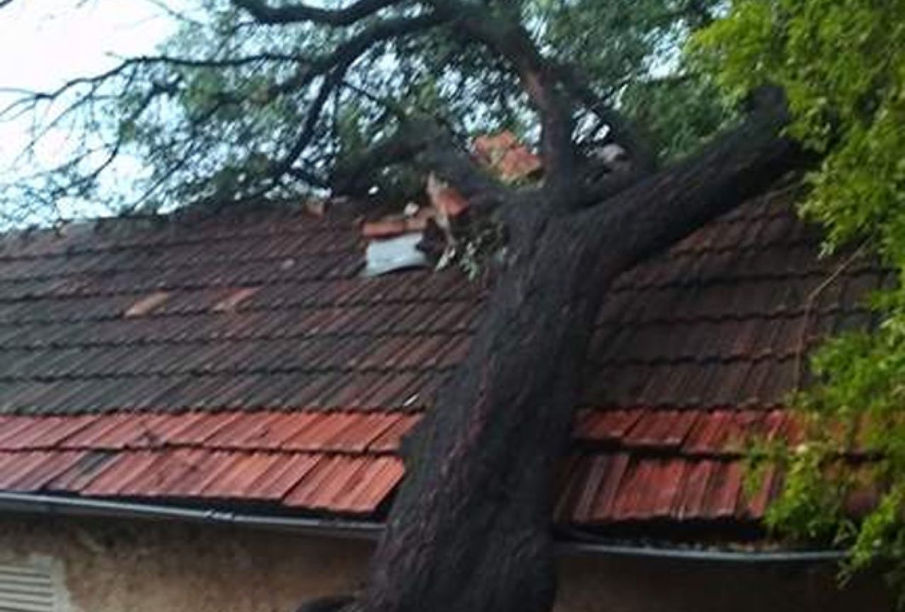 Mostar: Stablo palo na obiteljsku kuću