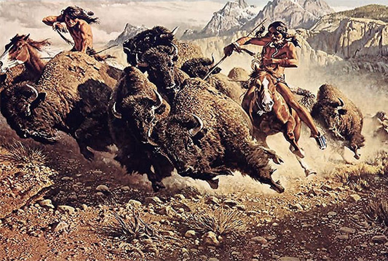 Сколько америка уничтожила индейцев. Индейцы Северной Америки охота на бизонов. Охота на бизонов в Америке. Древние индейцы-охота на бизонов. Истребление бизонов в Северной Америке.