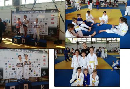 https://storage.bljesak.info/article/246336/450x310/judo-hercegovac-turnir.jpg