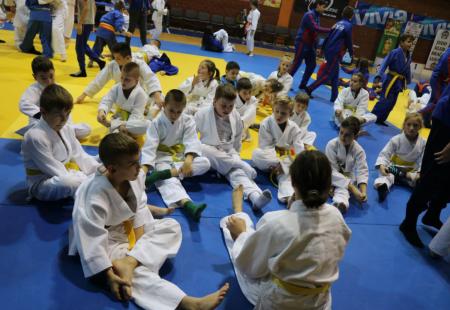 https://storage.bljesak.info/article/254354/450x310/judo-kup-borsa-sarajeva.jpg