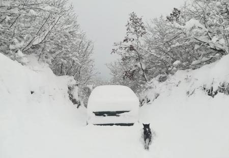 https://storage.bljesak.info/article/259381/450x310/goranci-snijeg.jpg