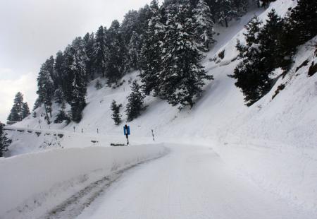 https://storage.bljesak.info/article/291262/450x310/Kashmir-snowfall-Getty_0.jpg