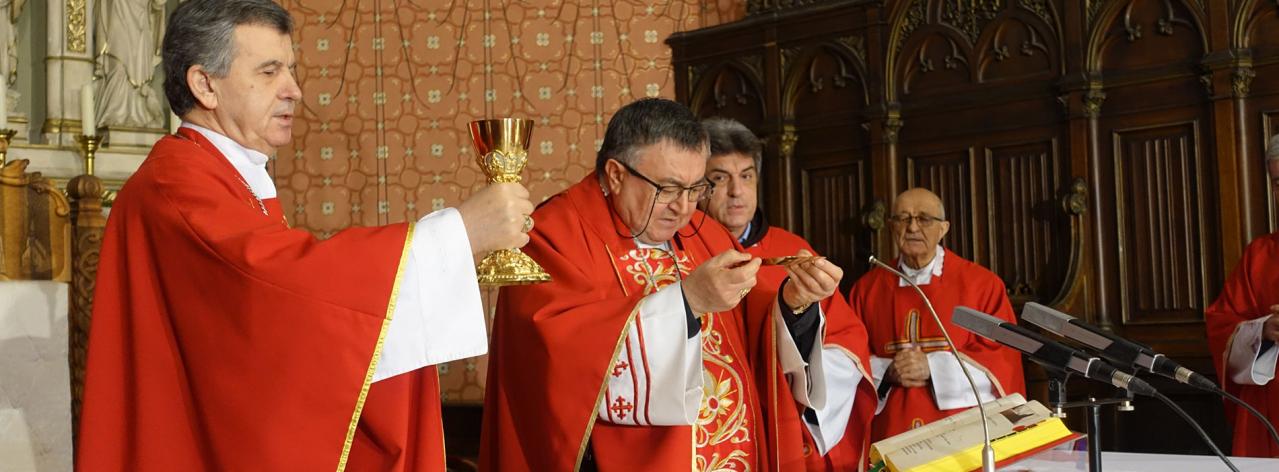 Kardinal Puljić predvodio Misno slavlje bez naroda na Cvjetnicu u sarajevskoj katedrali 