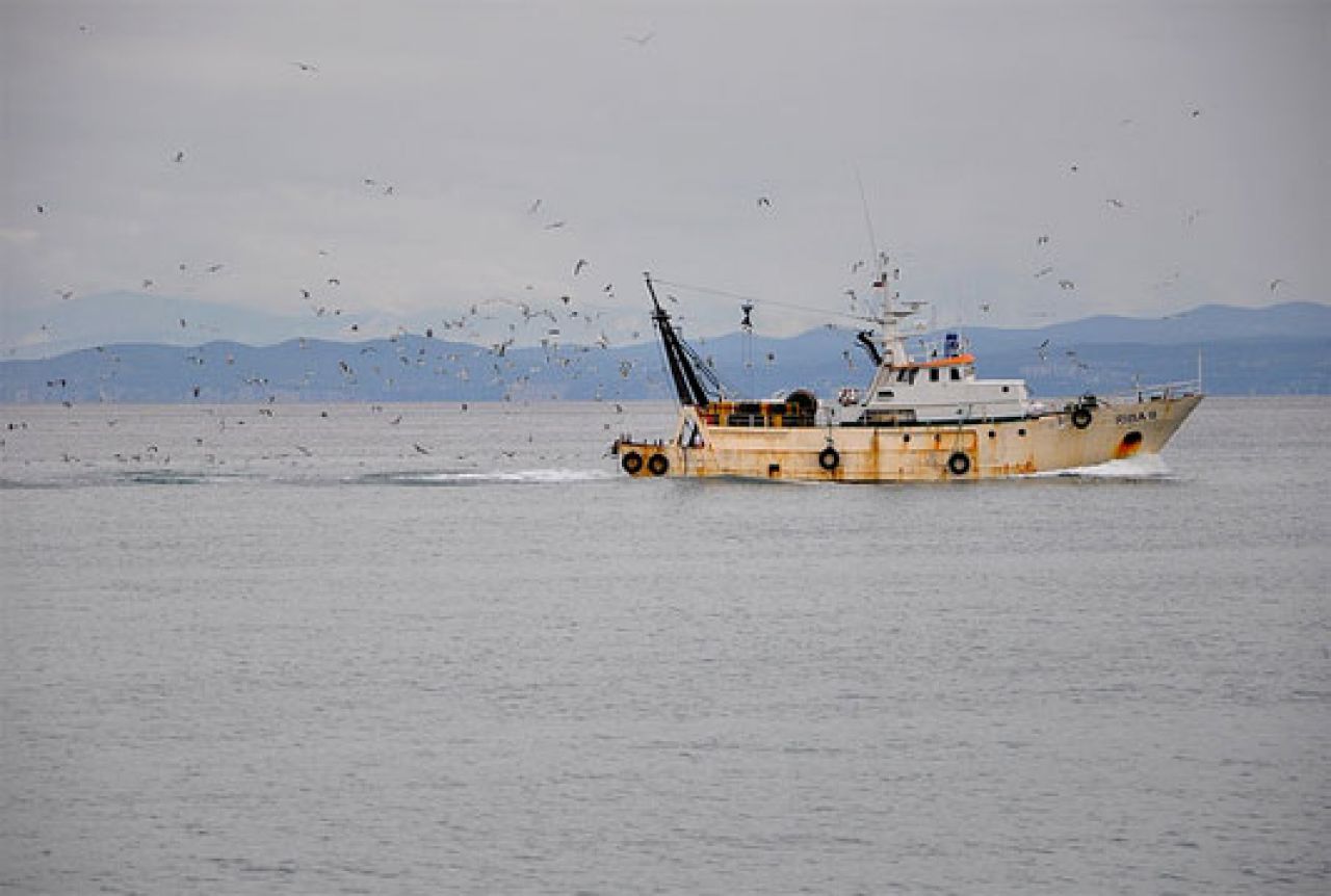 Slovenski ribari strahuju zbog ribolovne politike EU