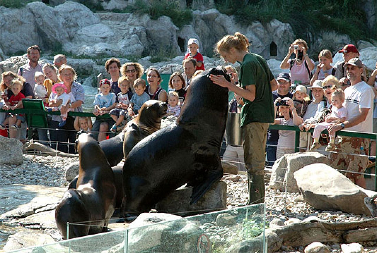 Zoološki vrt u Beču najpopularniji zoo vrt Europe