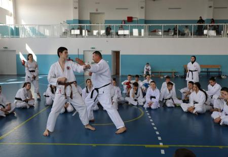 https://storage.bljesak.info/article/378229/450x310/karate-seminar.jpg