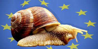 BiH i EU: Puževi koraci ili brzina munje
